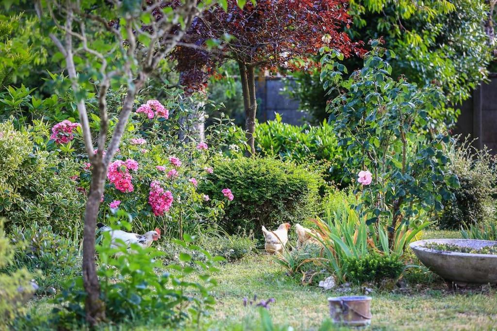 Le Vieux Moulin *